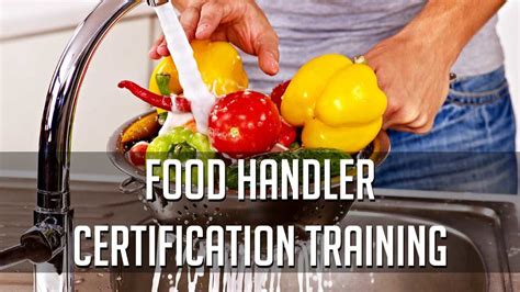 Licensing of Food Handler Training Programs 